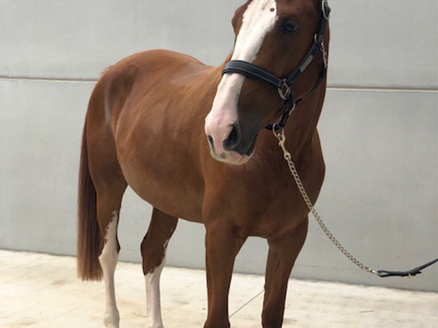 Jimena-de-Lis-Perfil-Frente-crop